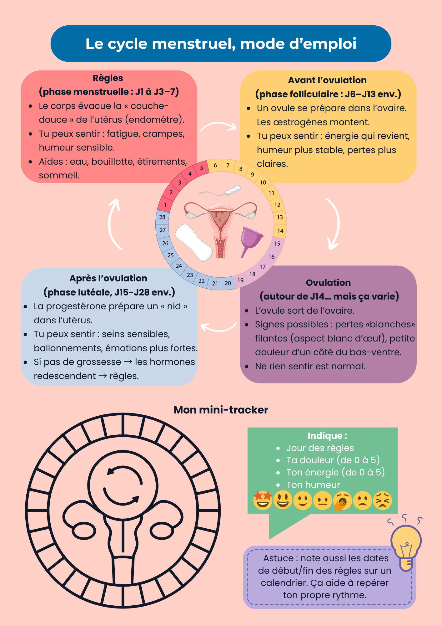 Le cycle menstruel, mode d’emploi