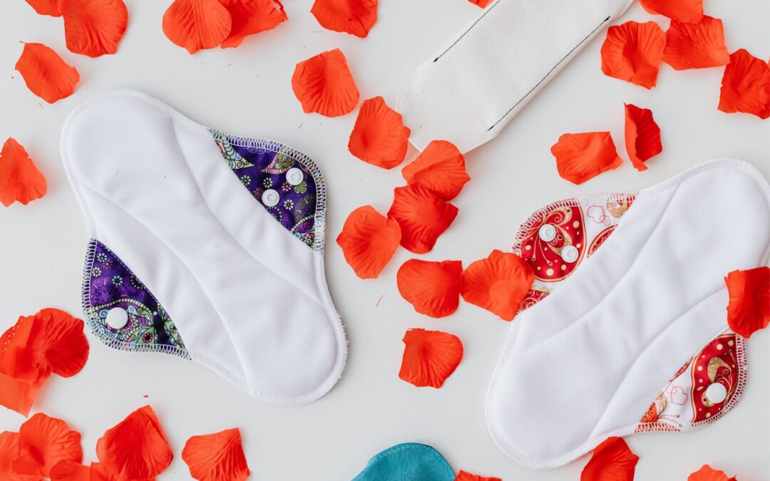 serviette hygiénique lavable serviette hygiénique lavable serviette lavable premières règles protections menstruelles écologiques serviette menstruelle réutilisable protections hygiéniques bio